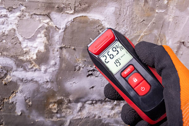 Best Local Mold Removal Service  in Monument Hills, CA