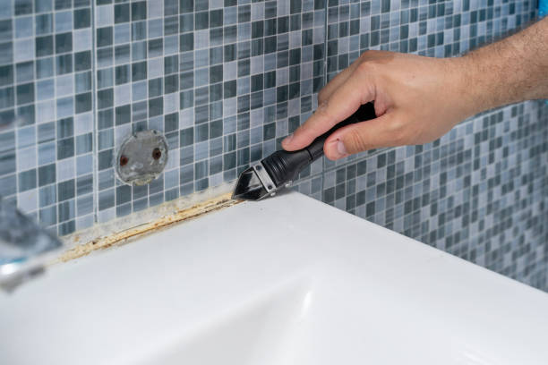 Best Same-Day Mold Removal  in Monument Hills, CA