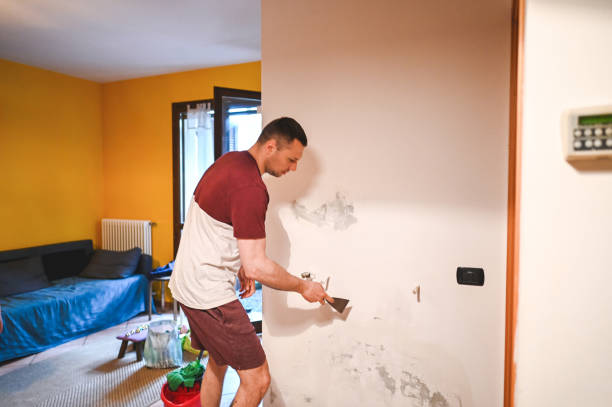 Best Emergency Mold Removal  in Monument Hills, CA